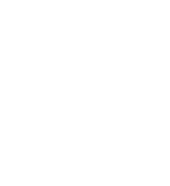 left sec icon
